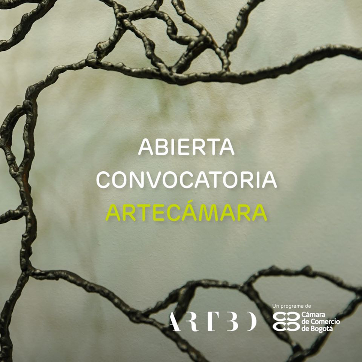Convocatoria Artecámara de ARTBO