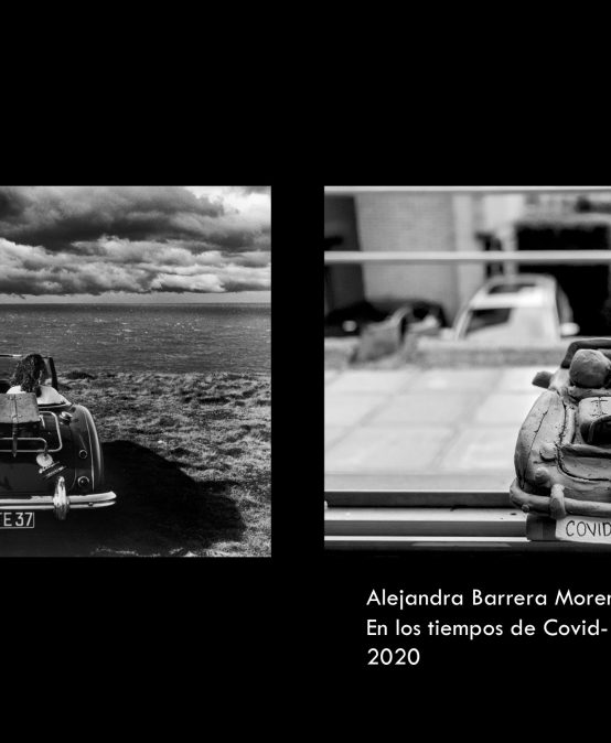 En los tiempo de Covid-19 – Alejandra Barrera Moreno